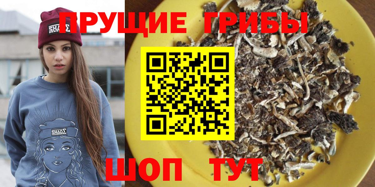 Галлюциногенные грибы мухоморы Лабинск