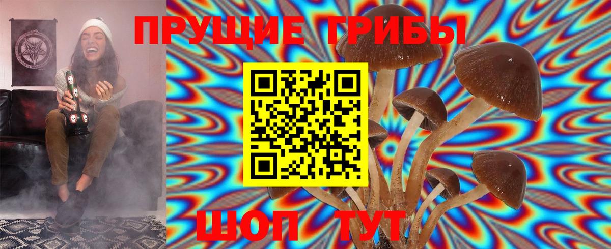Псилоцибиновые грибы Psilocybine cubensis  Галлюциногенные грибы MAGIC MUSHROOMS  Лабинск  Вход с VPN 